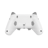 Arc PS5 Controller (GP-4258)