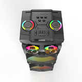 Bluetooth Speaker DR-1230 (No Returns)